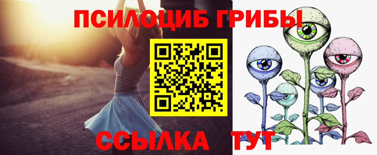 Псилоцибиновые грибы Psilocybine cubensis  Вход с VPN  Заводоуковск  Галлюциногенные грибы GOLDEN TEACHER 